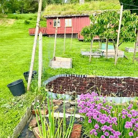 아파트 Akviktunet Sor Ekkilsoya